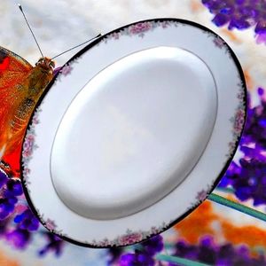 Legendary by Noritake Belle Empress #3980 Serving Plate